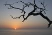 Почему Японию называют «страной восходящего солнца»