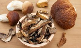 Мифы в мире сухих грибов