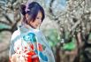 Японская национальная одежда — кимоно